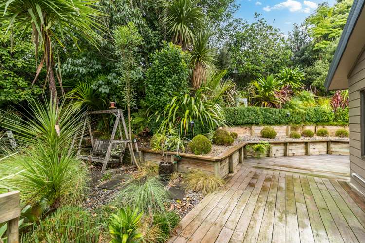 69 Falls Road Warkworth_26