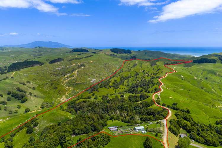 Te Akau Coast Road Te Akau_10