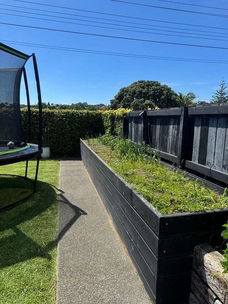 28 Windsor Road Bellevue_2