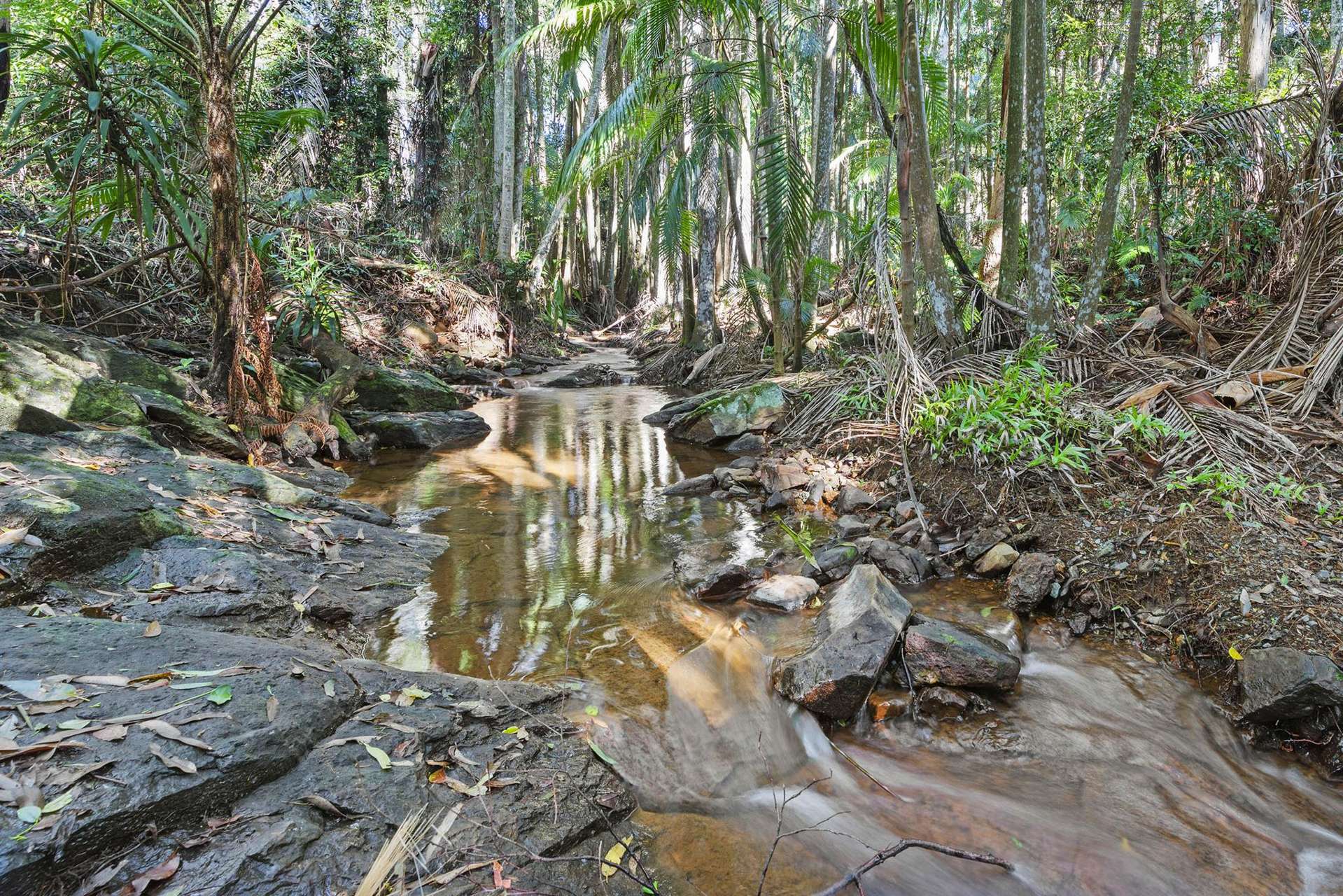 28a Geissmann Street Tamborine Mountain_0