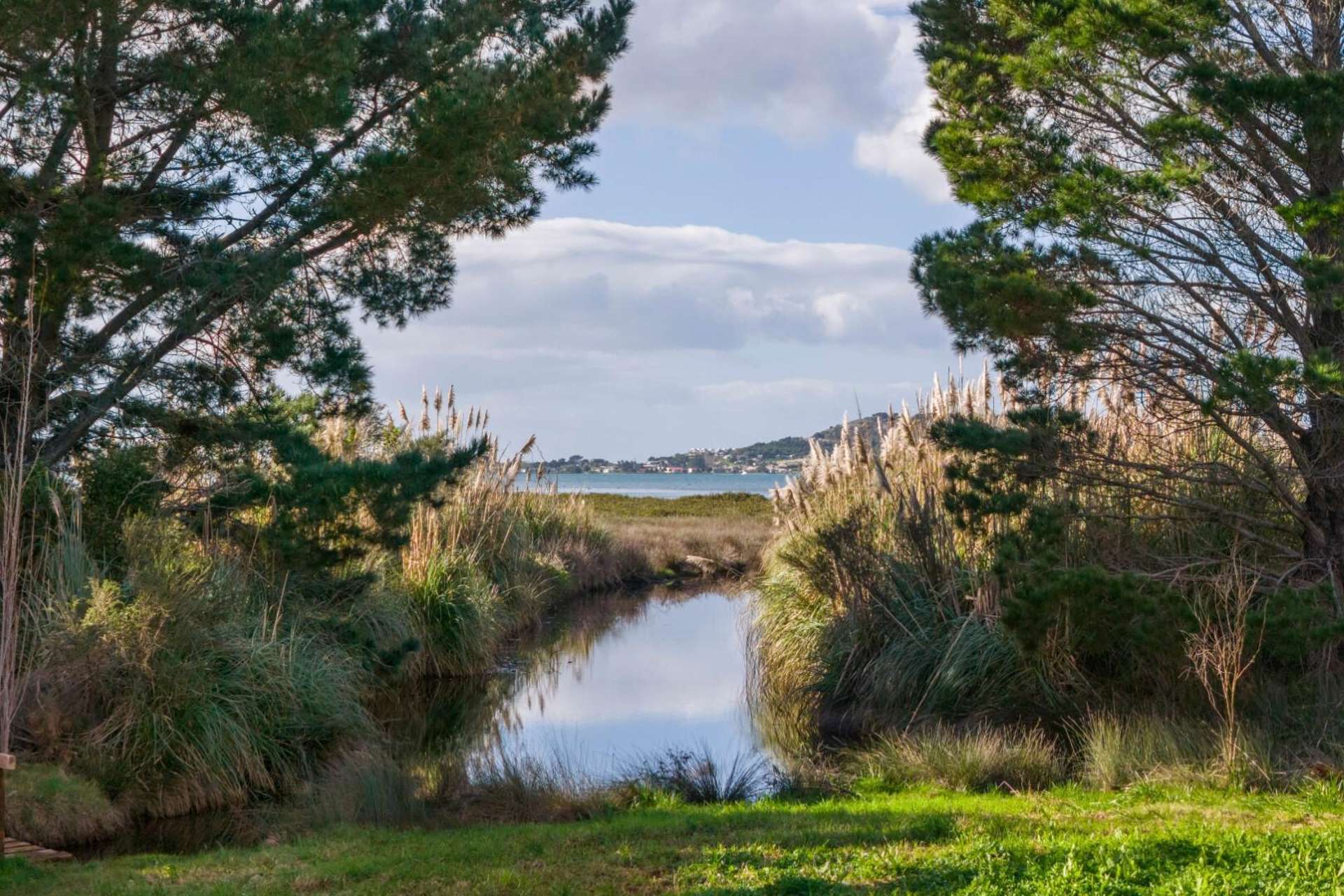 275 Athenree Road Katikati_0