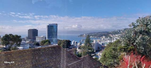 Kelburn 3 Bedrooms - Great Views