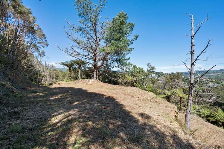 36 Castle Crescent_5