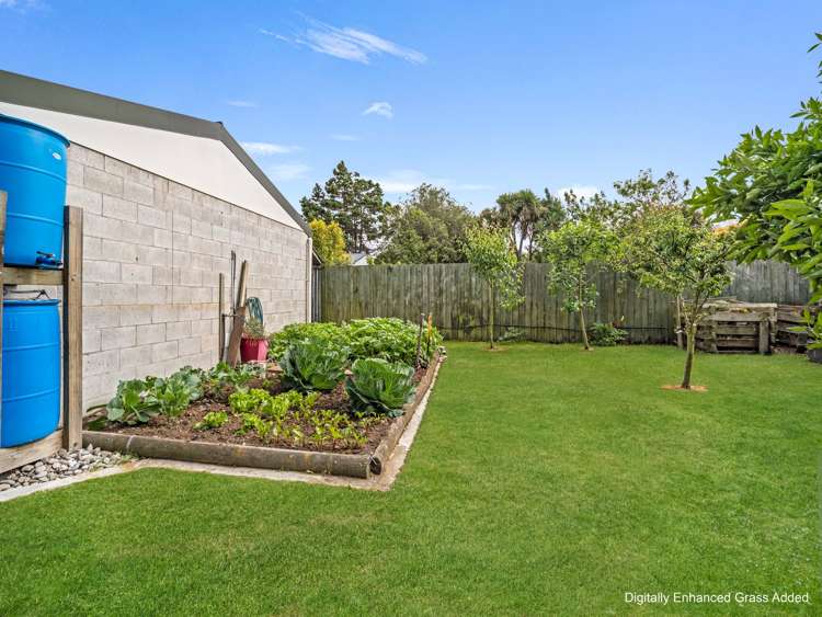 110 East Belt Lincoln_29