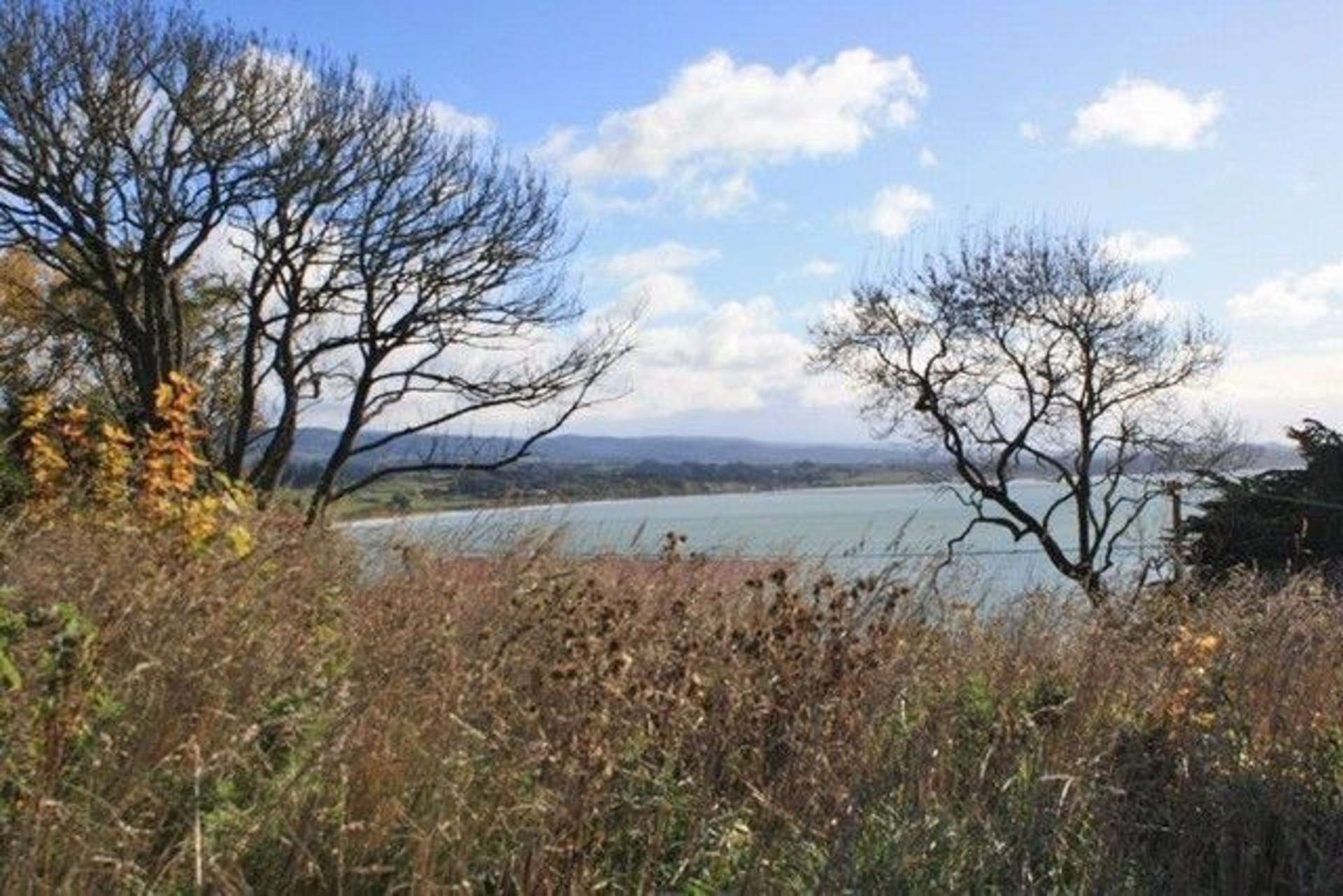 38 Haven Street Moeraki Waitaki Houses for Sale One Roof