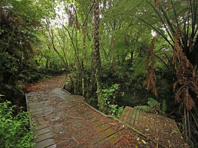 319 Pahiatua Aokautere Road Aokautere_7