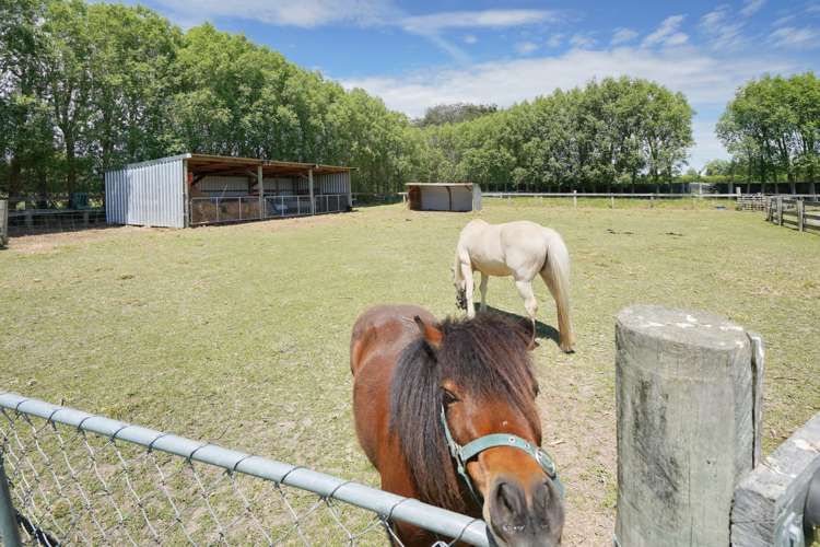 418b Woodfields Road Swannanoa_7