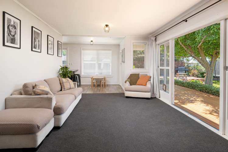 2 Havelock Street Renwick_13