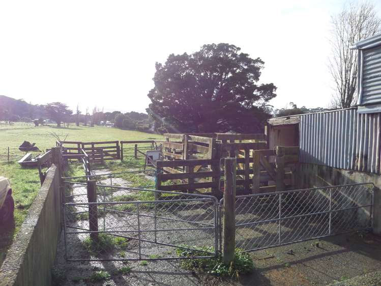 Harrison Street Featherston_12