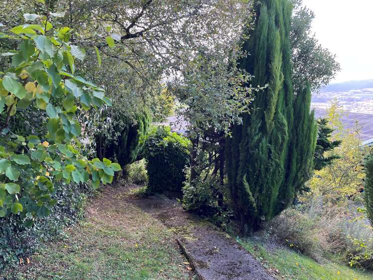 54 Earls Road Saint Clair_27