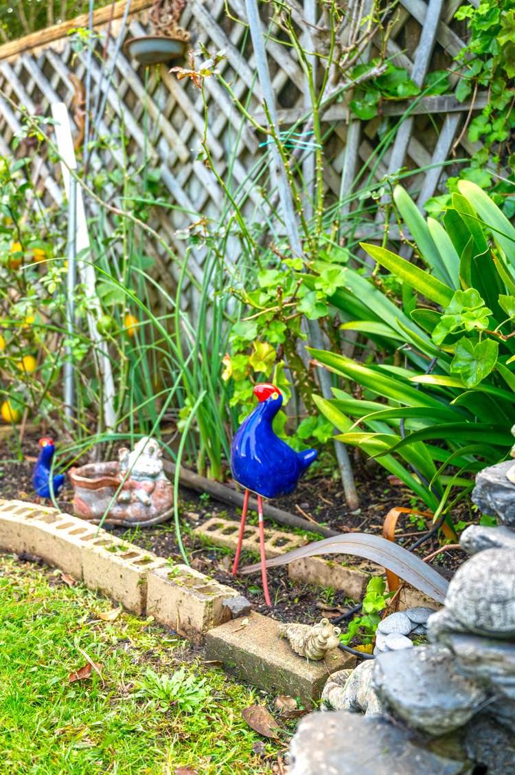 8/20 Taylor Street Blockhouse Bay_23