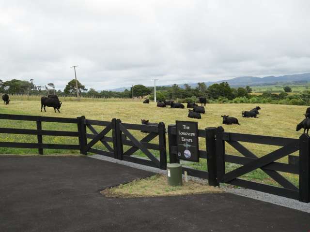 9 Lewis Road Otaua_1