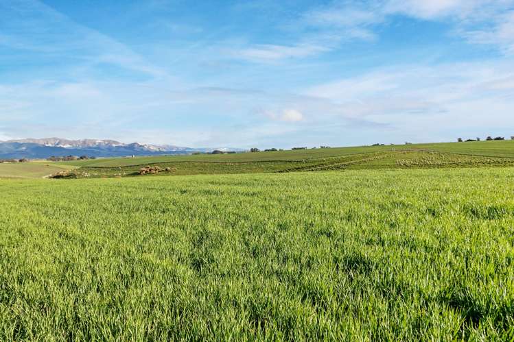 Lot 3 Hook School Road_1