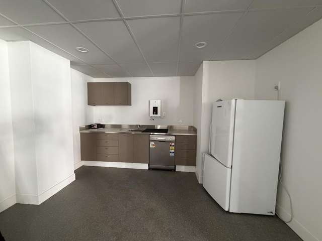 Level 2/45 Tory Street Te Aro_3