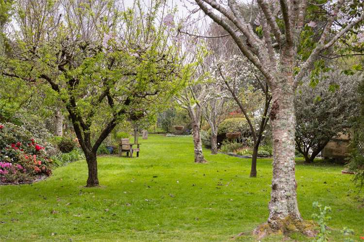 249 Te Moana Road Waikanae_22