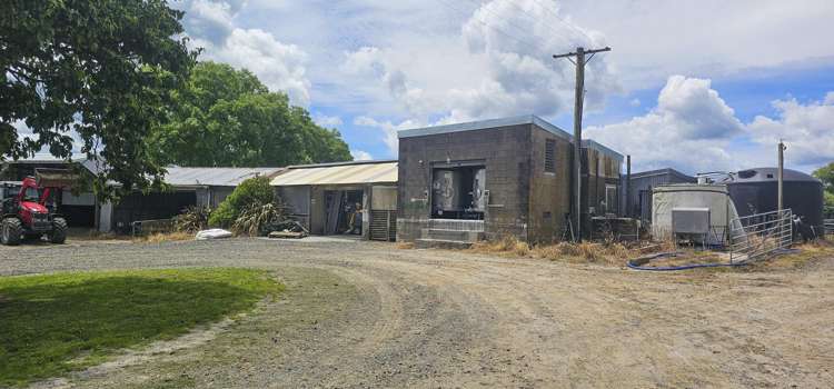 62 Ngamotu Road Rerewhakaaitu_15