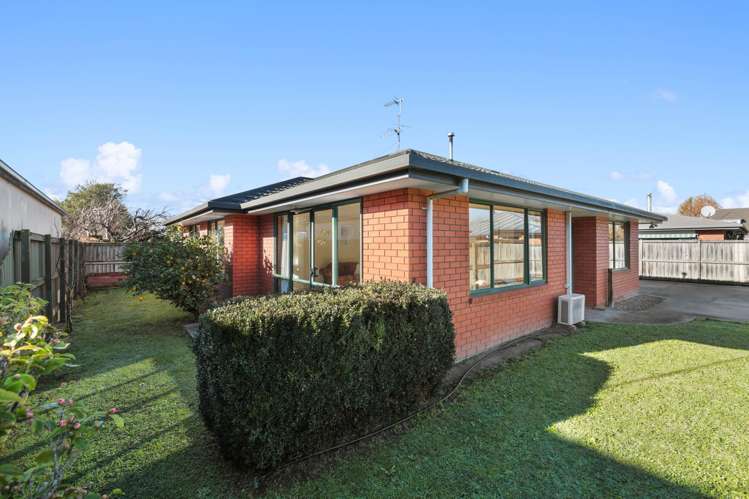 15A Bary Street Springlands_14