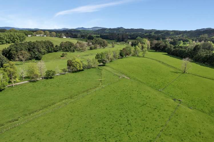 90 Mckinley Road Kokopu_42