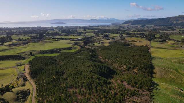 Subdivision + Forestry Investment