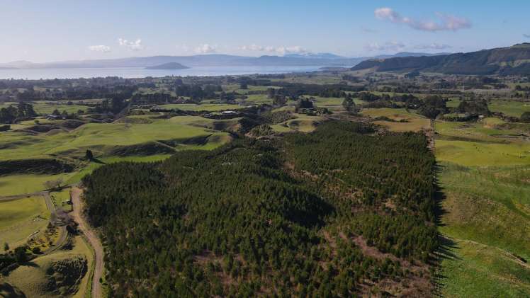 414C Dalbeth Road Hamurana_14