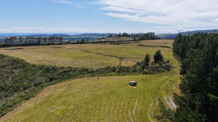 1419 Collingwood-Bainham Main Road Collingwood_8