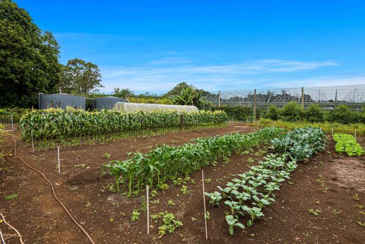 494 Mangakahia Road Maungatapere_27