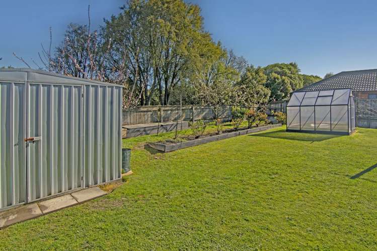 10 Curtis Street Stoke_20