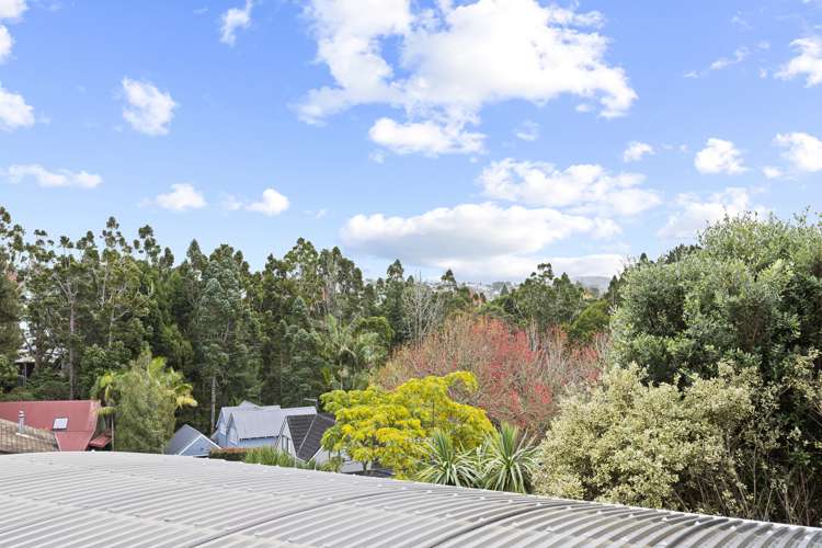 102 Daffodil Street Titirangi_9