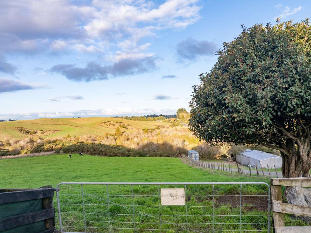 46D Lockerbie Lane_3