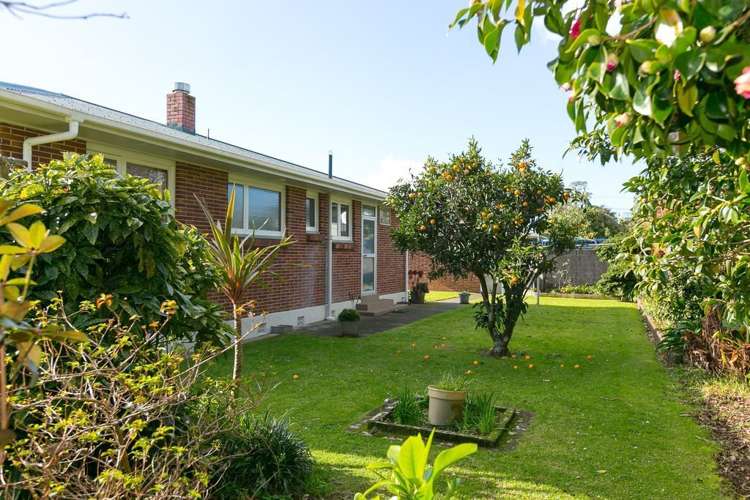 256a Carrington Street Vogeltown_5
