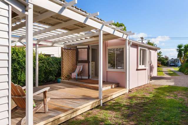 167 Clifford Street Whataupoko_3