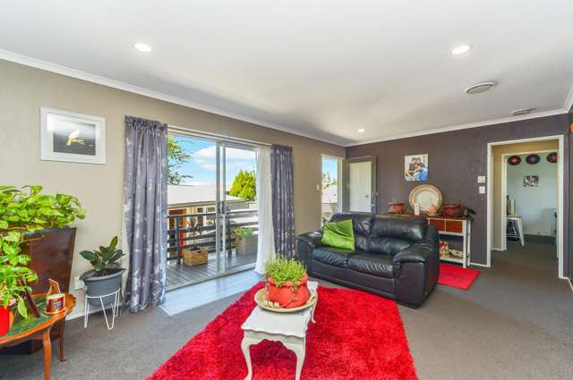 52 Snell Street Morrinsville_3