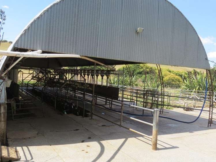 314 Martin Road Waerenga_9