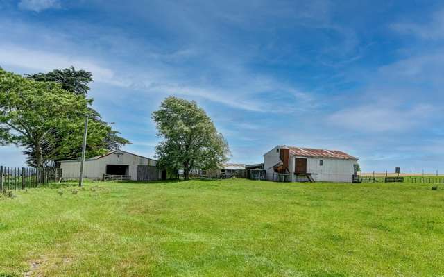 1173 Karahaki Road Waverley_2