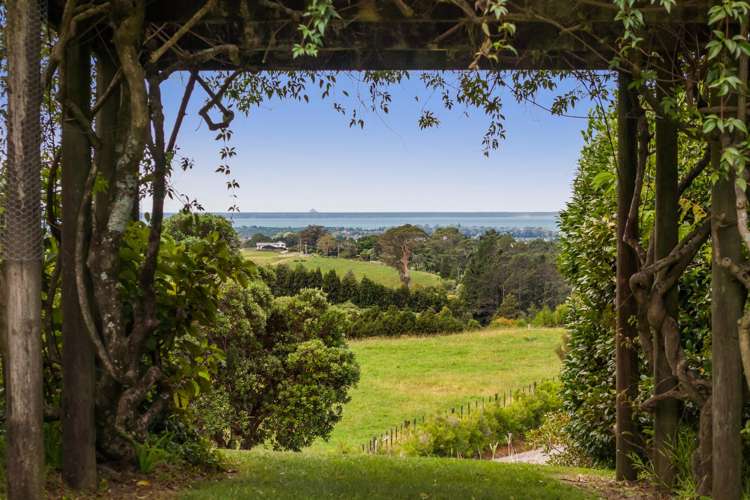 360A Busby Road Katikati_26