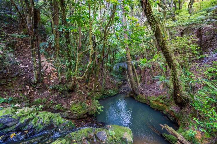 849 Owhiwa Road Parua Bay_30