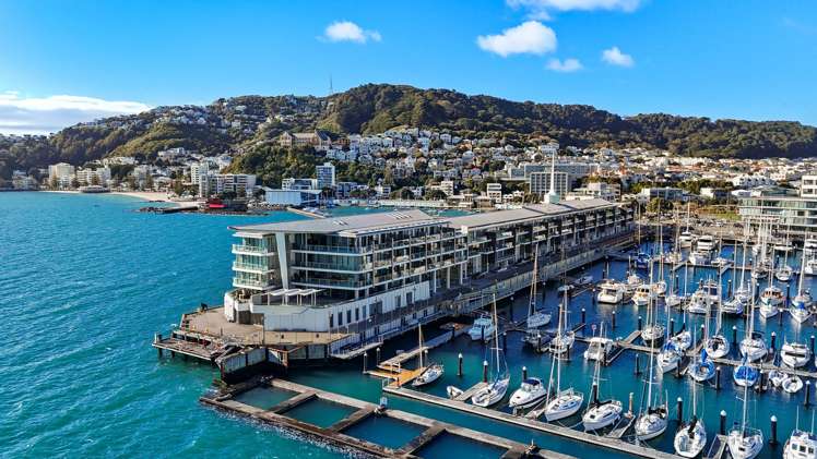 3b/6 Clyde Quay Wharf Te Aro_29
