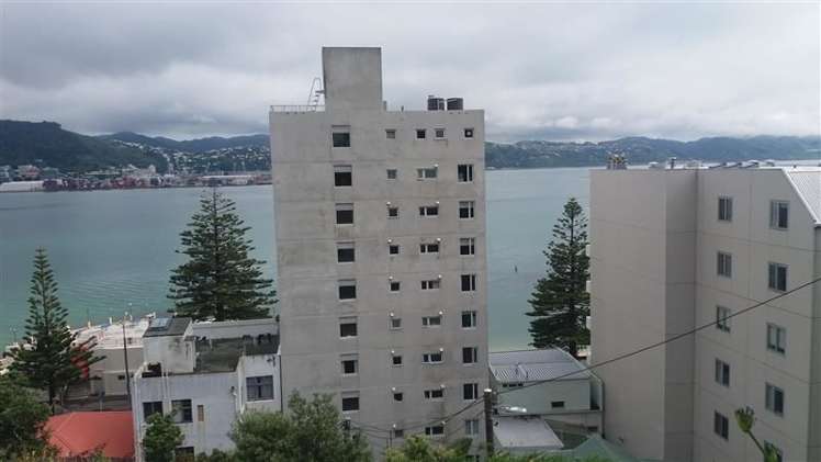 6 Baring Street Oriental Bay_16