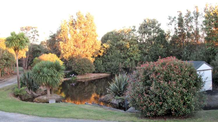 269 Brown Road Kaiwaka_39