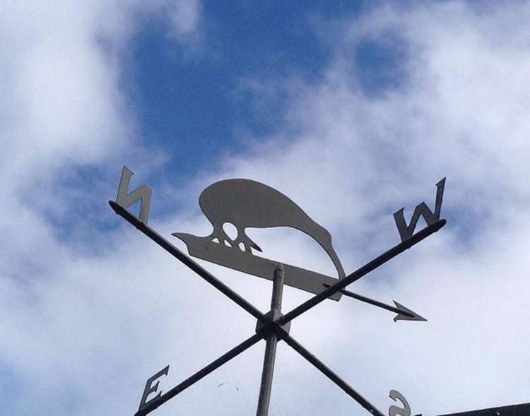 17 Kiwi Street Saint Leonards_30