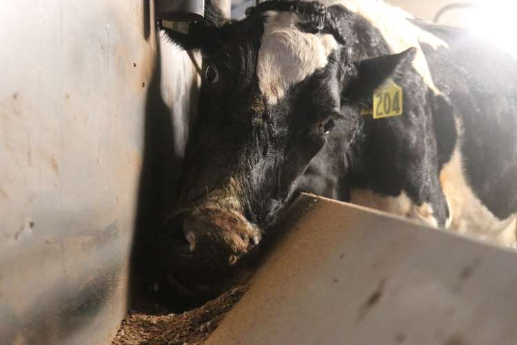 758 Mclaren Falls Road Kaimai_13