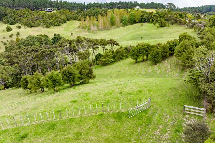 827 Tinopai Road Tinopai_35