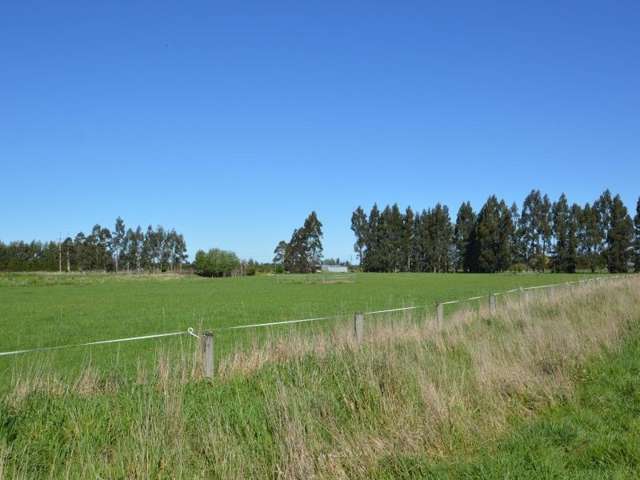 110 Price Road Winton_4