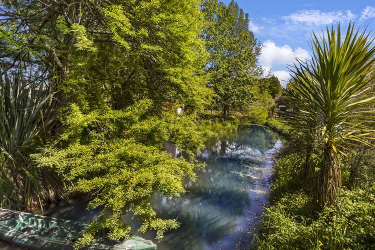 2/19 Molly Lane Te Awamutu_17