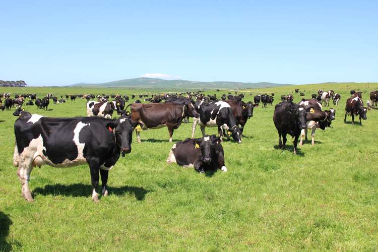 658 Pahia Wakapatu Road Ruahine_12