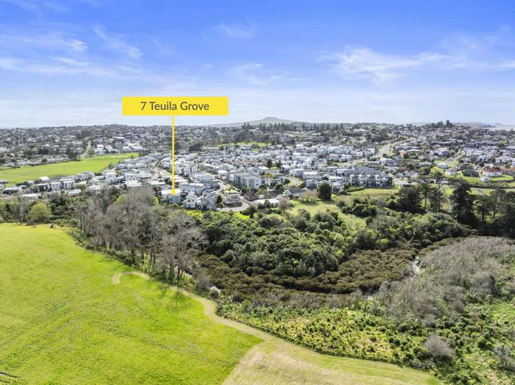 7 Teuila Grove Wai O Taiki Bay_18