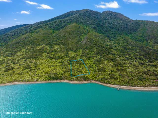 One Tree Point, Hikapu Reach, Pelorus Sound Marlborough Sounds_1