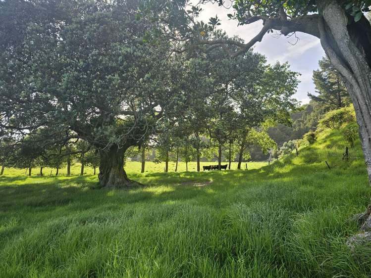 121 Ohawini Road Oakura_40