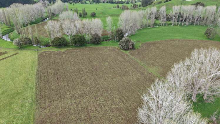 3675 Mangakahia Road Pakotai_7