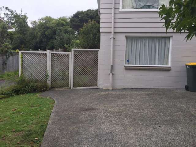 17 Chelsea View Drive Chatswood_1